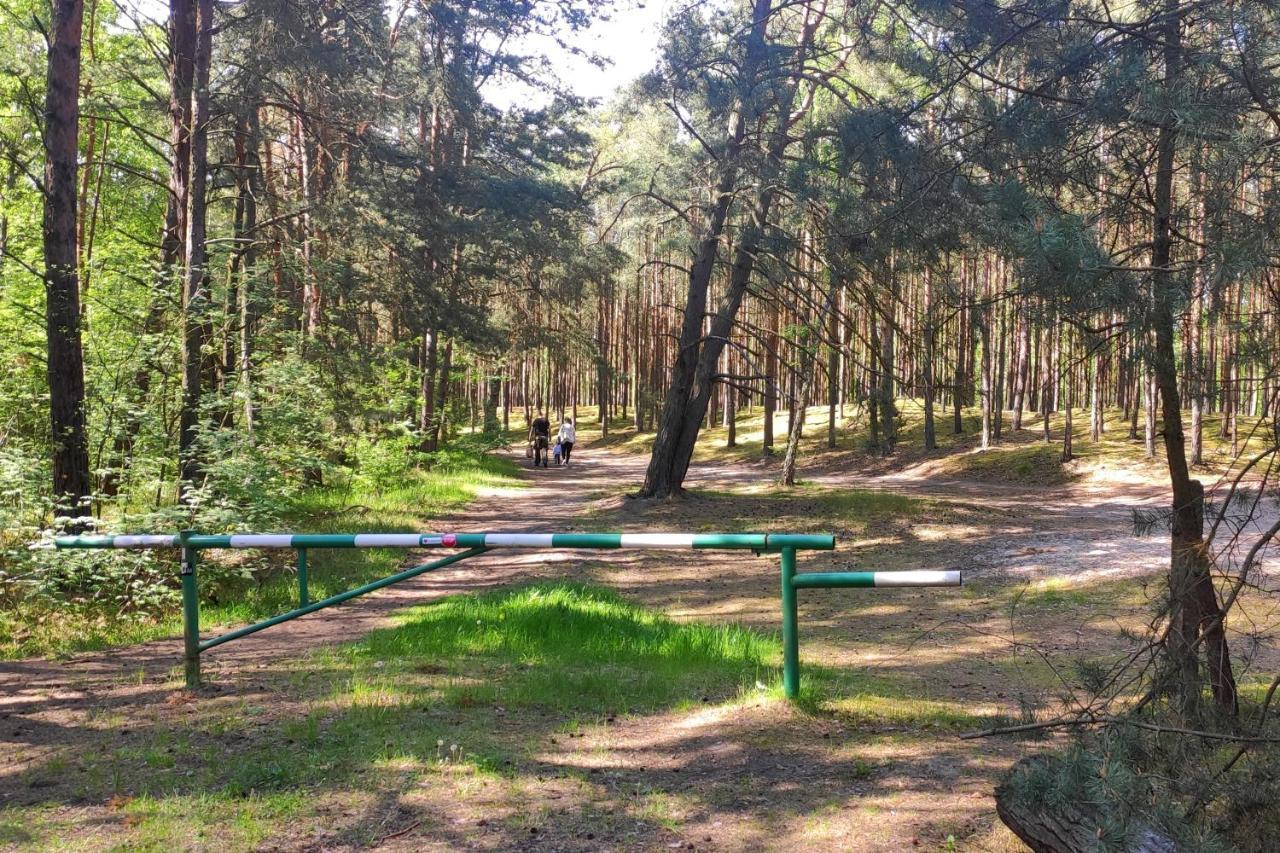 Camp Bursztynowy Las Gdansk Ngoại thất bức ảnh