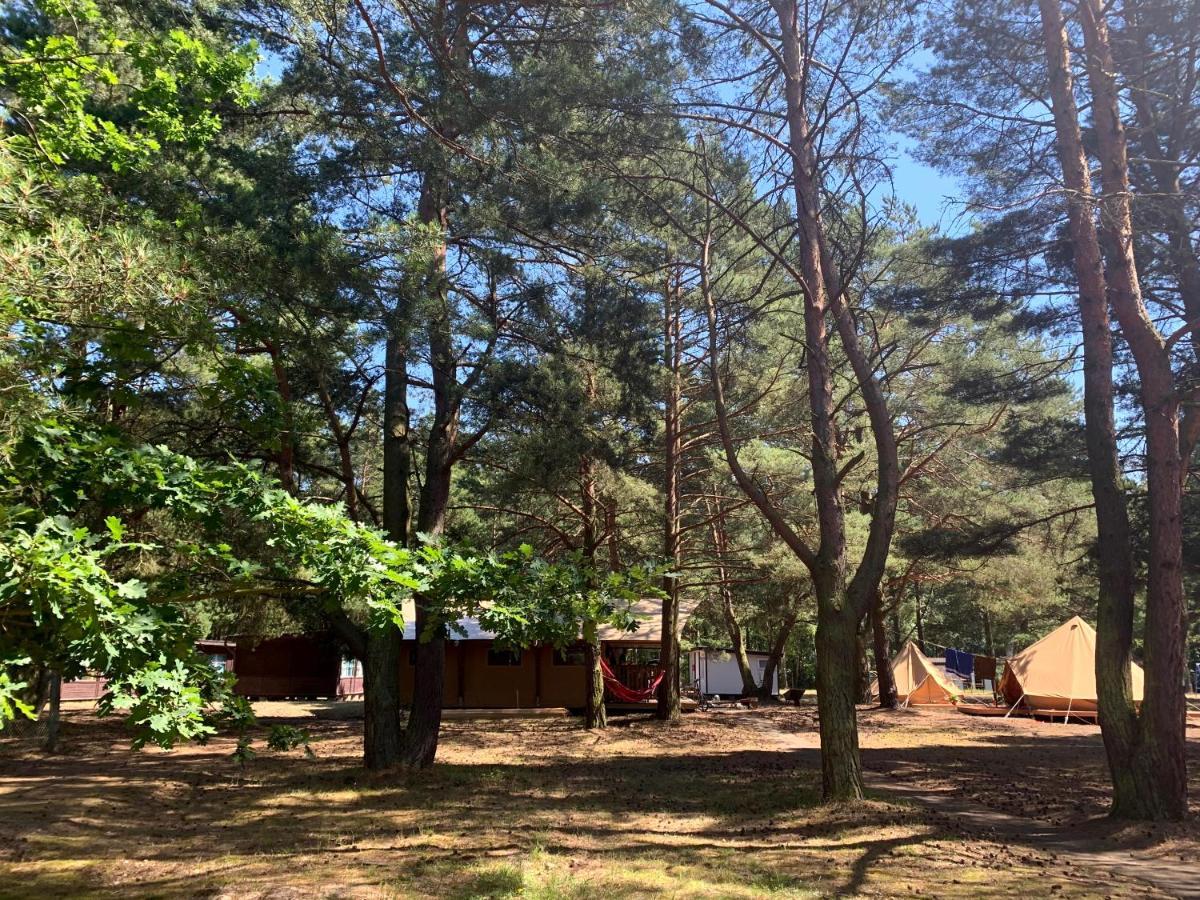 Camp Bursztynowy Las Gdansk Ngoại thất bức ảnh